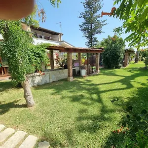 Asparano Ognina